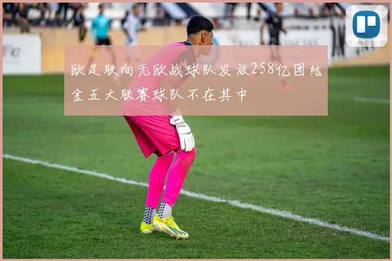 欧足联向无欧战球队发放258亿团结金五大联赛球队不在其中